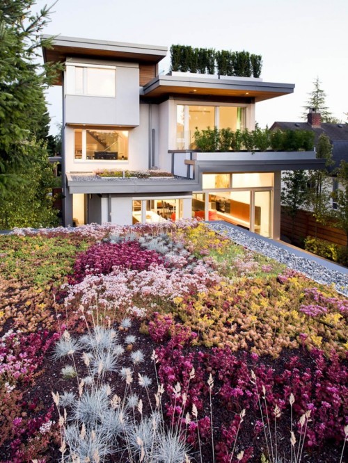 dreamyhome:  the garden is wonderful 