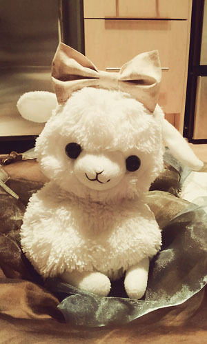 I used to see small ones in Daiso-type places I didn&rsquo;t know they were a