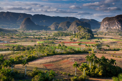 by Richard McGuire on Flickr. The natural beauty of Viñales Valley, a Unesco World Heritage S