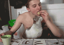 best-of-funny:  the-absolute-best-gifs:  unimpressedcats: you gon eat that?  imma eat it anyway  X