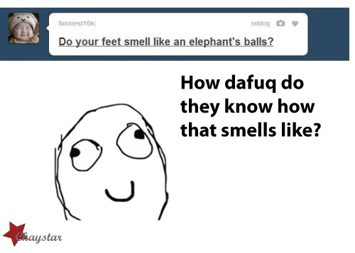 the-absolute-funniest-posts:  chaystar: Really, though. How? Follow this blog, you