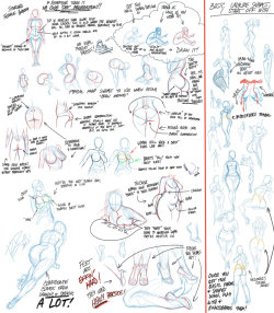 robscorner:  robscorner:Girly Anatomy Tips  - WARNING! BIG FILE ON MY DA PAGE TO DOWNLOAD AND ENJOY! I decided to draw up some tips for drawing girls, since I _think_ I know what I’m doing with them. A lot of peeps have asked for them, so here’s