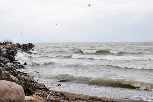 Went out with my dad today and took some pictures. The waves were so pretty!