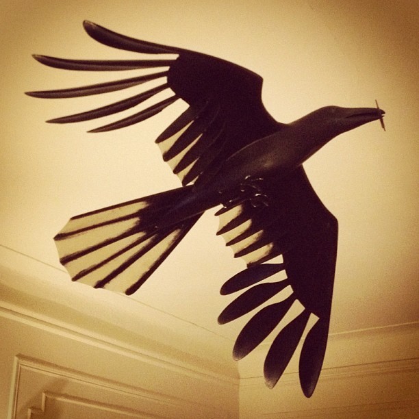 My Dad made this crow for me, and it is the most special thing I own.