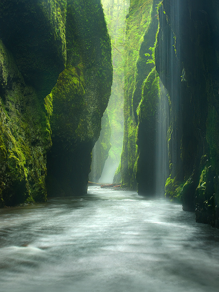(via imgTumble)