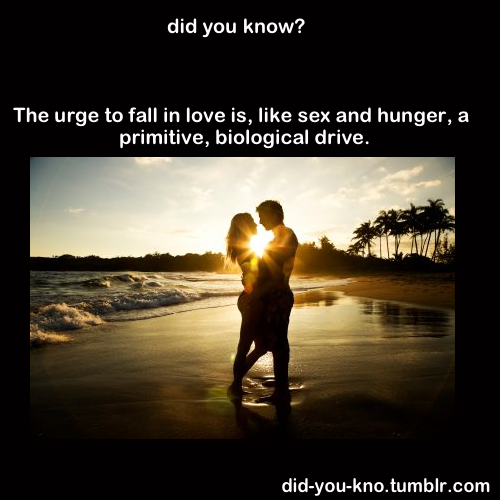 did you know?