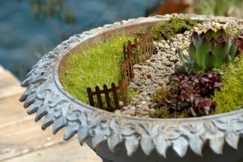 DIY Wee Little Garden from Growing Appreciation here. *First seen at Prudent Baby.