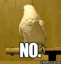 Se alguém vai me colocar no follow friday? 