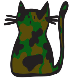 thestealthcat:  camo cat 