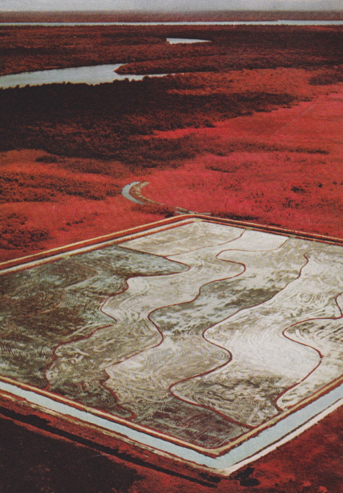 rifles:   Brazil’s Jari River, National Geographic, October 1972 