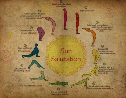 chrissy1889:  sun salutation - yoga poses