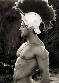 red-meat:  Heroics III by Paul Freeman 