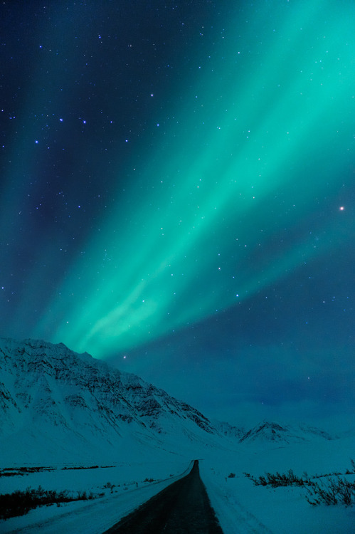 ninbra:Aurora Borealis, Dalton Highway, Alaska.