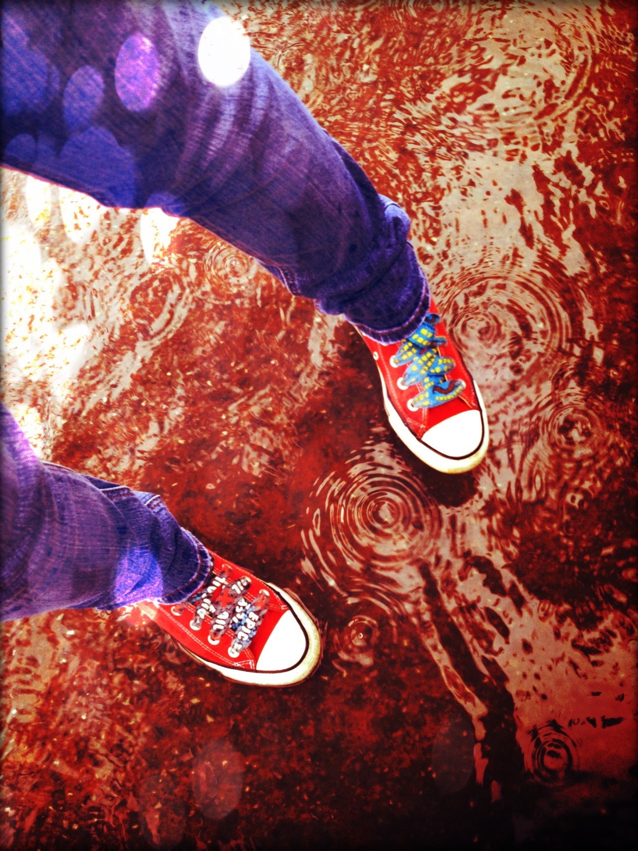 &ldquo;A rose must remain with the sun and the rain or its lovely promise won&rsquo;t