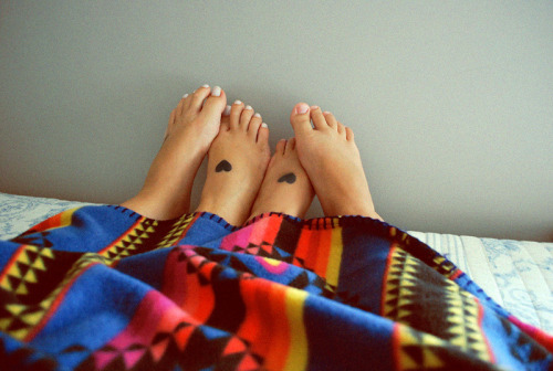 c-a-n-a-r-i-o.tumblr.com/post/18691979840/