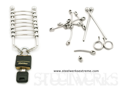 Buy this from Steelwerksextreme and then get to work on her labia with your piercing needle!