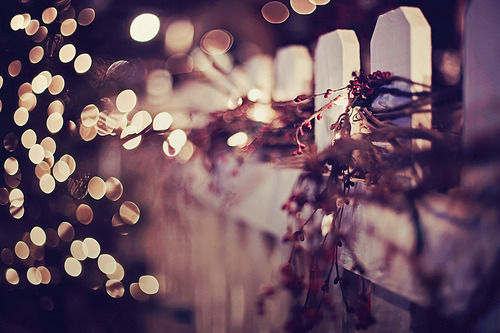 tumblr photo amndaax 0