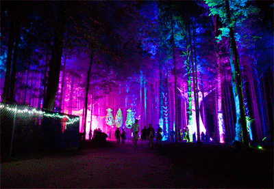 PAHTAY IN THE WOODS YAH MATE?