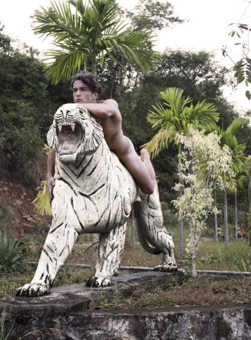 White Wild Pussycat, Kampot National Zoo, Cambodia. Self Portrait