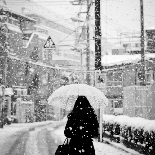 yotta1000:   2.29/2012 (by Yotta1000)  