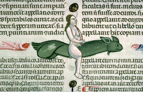 discardingimages:phallic steed Decretum Gratiani with the commentary of Bartolomeo da Brescia, Ita