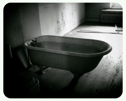 Found this awesome clawfoot tub in an abandoned mansion. It’s the coolest place.