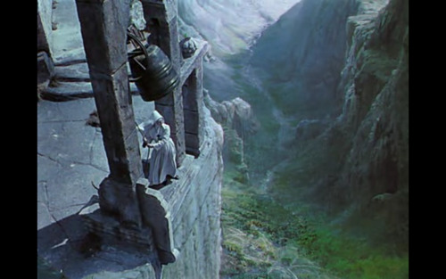 black narcissus