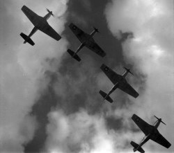 legrandcirque:  Toni Frissell, Four U.S. Army Air Forces North American P-51 Mustang fighters from the 332nd Fighter Group flying in formation over Ramitelli airfield, Foggia, Italy, March 1945. Source: Library of Congress 