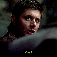 casteals:  We run the show now. 