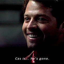 casteals:  We run the show now. 