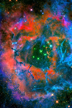 weareallstarstuff:  Rosette Nebula 