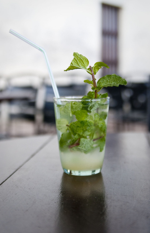 perfect refresh-mint