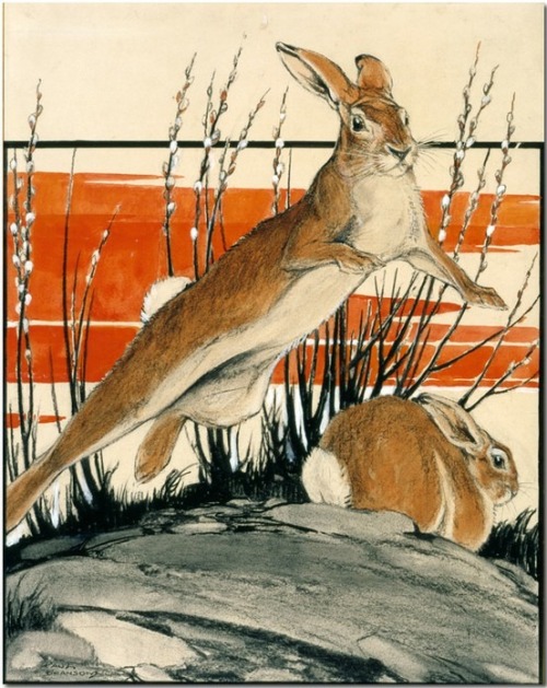 thewoodbetween:Leaping Cottontail, 1924 Paul Bransom (United States, 1885 – 1976)
