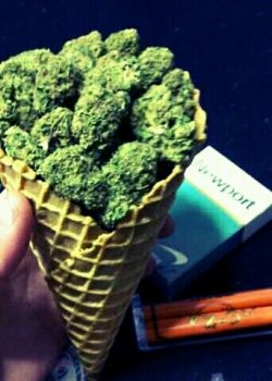 tmogullive:  Who wants some?#Random #we smoked it like dat #stoned #24buds #budBlunt #here cums da ice cream man #burr (from @Trippy_Goose on Streamzoo) 