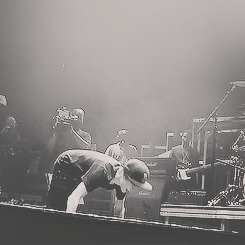 stratford-canada:  oh no the conda is hurt. 