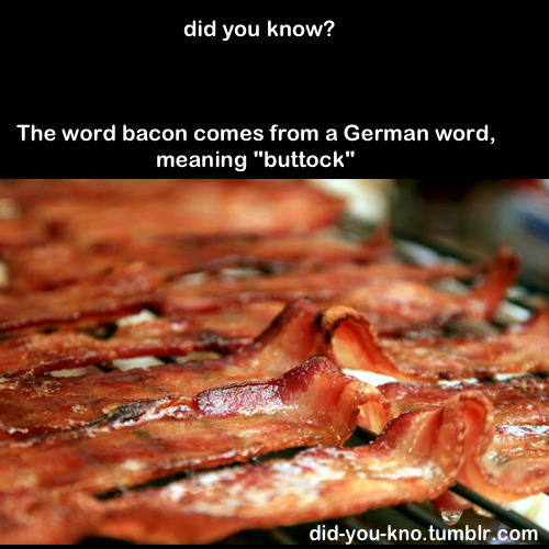 did-you-kno:  Source 