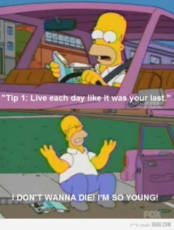 9gag:  Honest Homer 