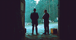 indigoisbetter-deactivated20180:  50 Favorite Films In Gifs - Pan’s Labyrinth (2006)