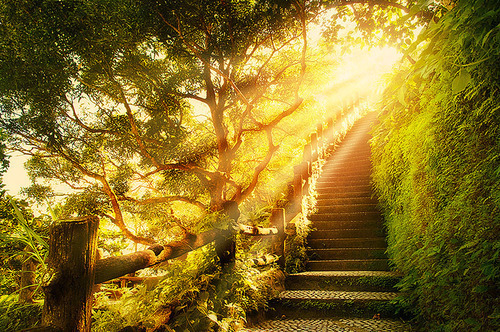bluepueblo:  Sunlight Stairway, Plitvice, Croatia  photo via shana 