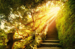 bluepueblo:  Sunlight Stairway, Plitvice,