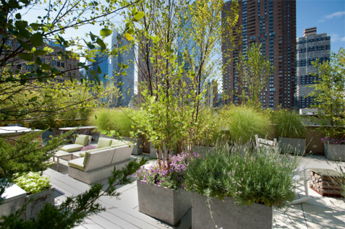 The perfect rooftop garden in New York, photo by Charles de Vaivre.