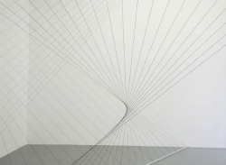 Creatio-Ex-Materia:  Christina Zurfluh, 20 Linien Im Raum (2008) 