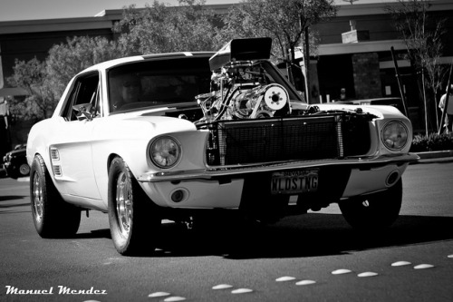 theautobible:  Wild Stang by DarkHorse68 on Flickr. 
