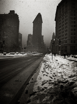 fiore-rosso:  ,the flatiron, nyc, and wintery