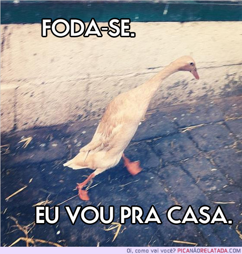 Paraiso do Riso