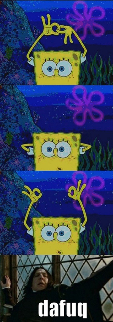 the-absolute-funniest-posts:  Follow this blog, you will love it on your dashboard