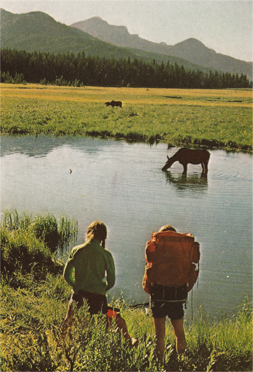 American hikers, 1972.