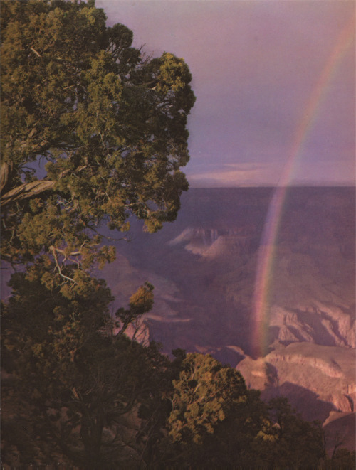 johnny-remember-me: Rainbow in the Grand Canyon