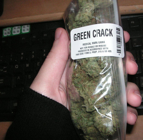 The Real Nancy Botwin