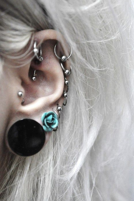 Very beautiful picture of a lot of lobes, helixes, a rook, a tragus and a daith. piercingprin